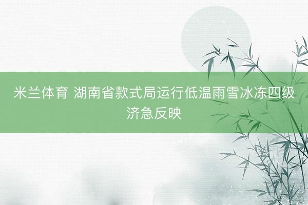 米兰体育 湖南省款式局运行低温雨雪冰冻四级济急反映