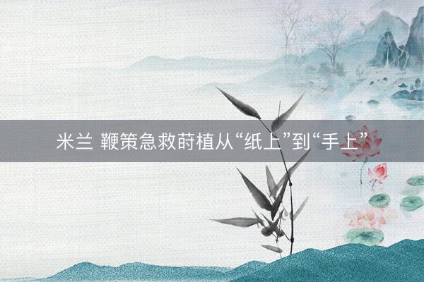 米兰 鞭策急救莳植从“纸上”到“手上”